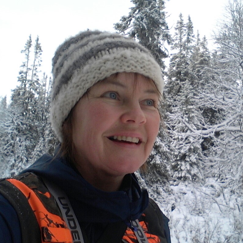 Brattvoll Gård og Hytter